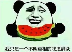 娱乐吃瓜有趣名字