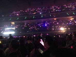 吃瓜猪娱乐演唱会